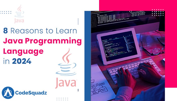 8 Reasons to Learn Java Programming Language in 2024
