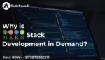 mern stack course