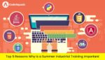 top 5 reasons why is a summer industrial training important